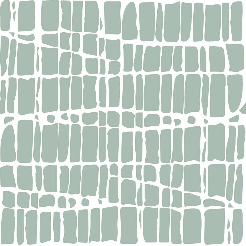 Mistral Home Dekbedovertrek 100% Katoen Crocodilia 260x240 Cm 5 Mistral Home Dekbedovertrek 100% Katoen Crocodilia 260x240 Cm - Afbeelding 3