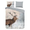 Good Morning Edelhert Dekbedovertrek Grijs-Lits-jumeaux (240 X 200/220 Cm) -Winkel Voor Premium Beddengoed 1000135584