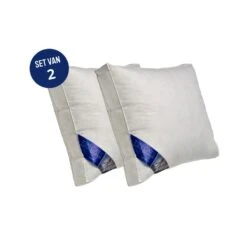 Ten Cate Boxkussen - Halfdons - 60x70 - 2 Stuks 9 Ten Cate Boxkussen - Halfdons - 60x70 - 2 Stuks -Winkel Voor Premium Beddengoed 1f21edeee77b4d558e4e9094c8fe9b22