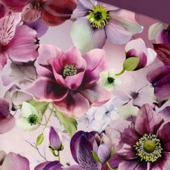 Pure Purflora Dekbedovertrek Paars-2-persoons (200 X 200/220 Cm) -Winkel Voor Premium Beddengoed 2fe443ec6fa94cfa9e9f836891205b52