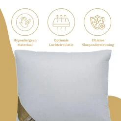 Ten Cate Ganzendonzen 3-Kamer Boxkussen - 60x70 -Winkel Voor Premium Beddengoed 5161185b1a5a4304ae4080233361bea5