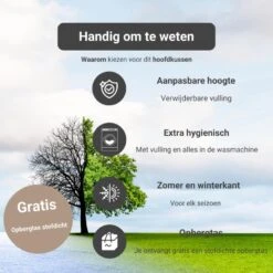 Troonz Hoofdkussen One - Verkoelend - 40x80 Cm -Winkel Voor Premium Beddengoed 70cb3121e52c4f00bb58eac84ed04103 1