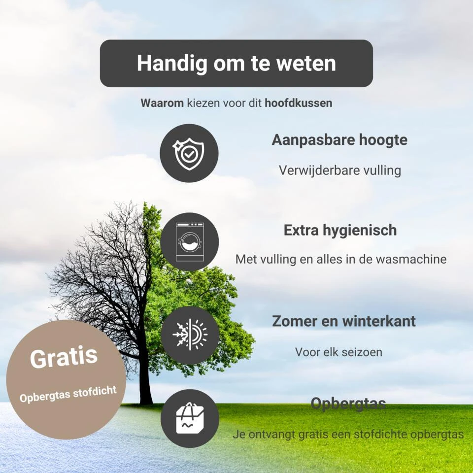 Troonz Verkoelend Hoofdkussen One - 80x80 Cm 4 Troonz Verkoelend Hoofdkussen One - 80x80 Cm - Afbeelding 2