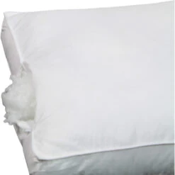 Polydaun Hoofdkussenset Sanel Anti-allergeen - 60x50x10 Cm -Winkel Voor Premium Beddengoed 81025961 1900