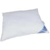 Polydaun Hoofdkusssen Guusje - Wit - 60x70 Cm -Winkel Voor Premium Beddengoed 81028293