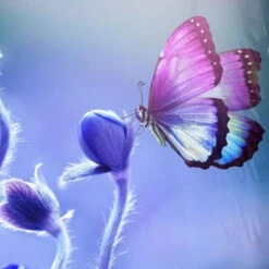 Pure Davine Dekbedovertrek Paars-Lits-jumeaux (240 X 200/220 Cm) -Winkel Voor Premium Beddengoed 85fb429fcaf34f2a92cb461abea3ab34 1