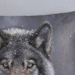 Good Morning Wolfie Flanel Dekbedovertrek Grijs-Lits-jumeaux (270 X 200/220 Cm) -Winkel Voor Premium Beddengoed 873fdd152d8a4850ac0cbdddba973a03 1