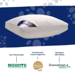 Ten Cate Boxkussen - Halfdons - 60x70 - 2 Stuks 10 Ten Cate Boxkussen - Halfdons - 60x70 - 2 Stuks -Winkel Voor Premium Beddengoed 95fced2aff51488bbcc424e383656ba5