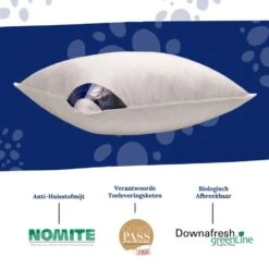 Ten Cate Halfdonzen Hoofdkussen - 60x70 - 2 Stuks -Winkel Voor Premium Beddengoed 9866263dadb142b29f8a7e37ad7fb681