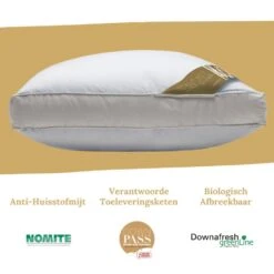 Ten Cate Ganzendonzen 3-Kamer Boxkussen - 60x70 -Winkel Voor Premium Beddengoed 9d53b7b44aa040fc9b85a3e3e6c0e4d9