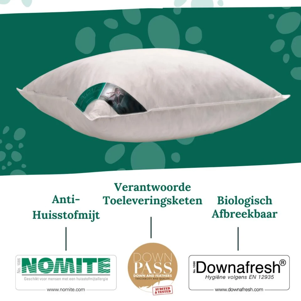 Ten Cate 100% Eendenveren Hoofdkussen - 60x70 - 2 Stuks 5 Ten Cate 100% Eendenveren Hoofdkussen - 60x70 - 2 Stuks - Afbeelding 3